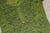 Hoor Olive Green Viscose Georgette Kurta