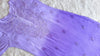 Alysha Lavender Ombre Long Rayon Kurta