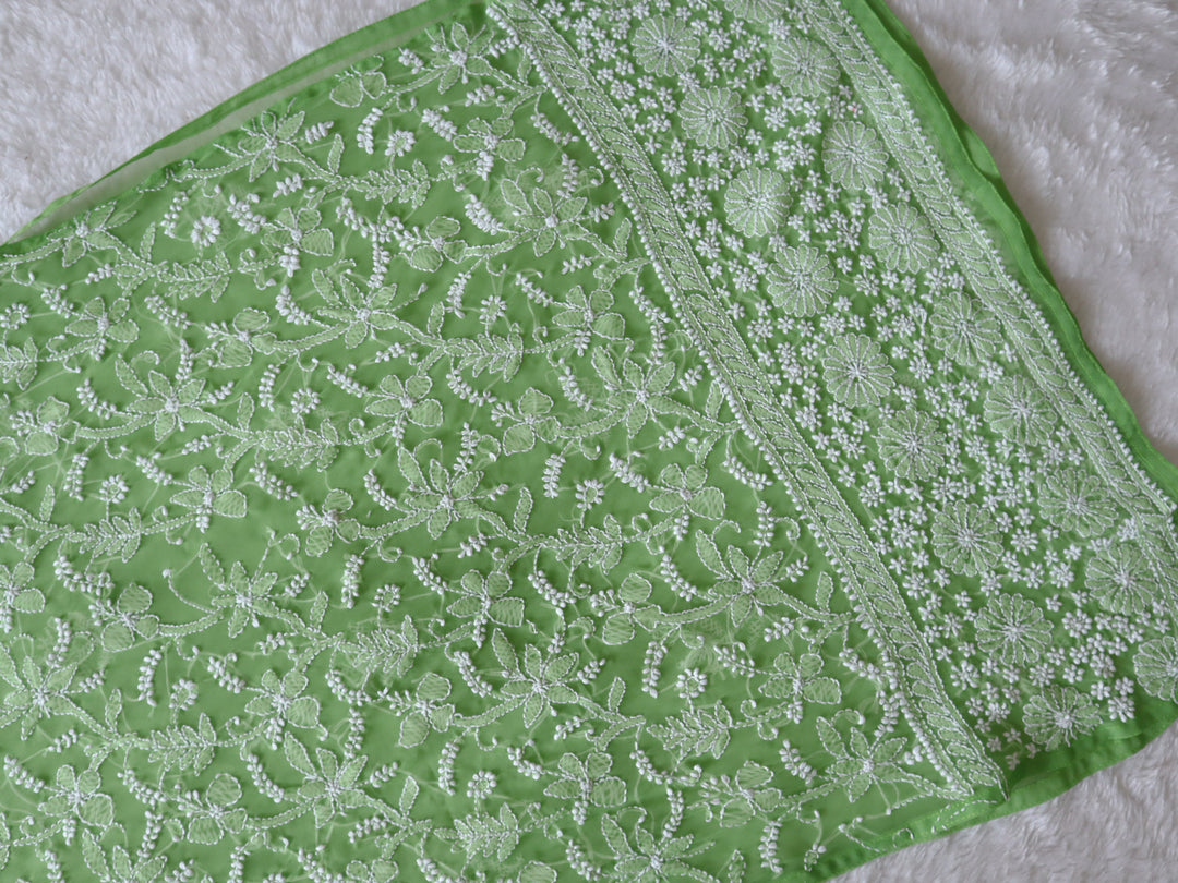 Leaf Green & White Georgette Long Jaal kurta